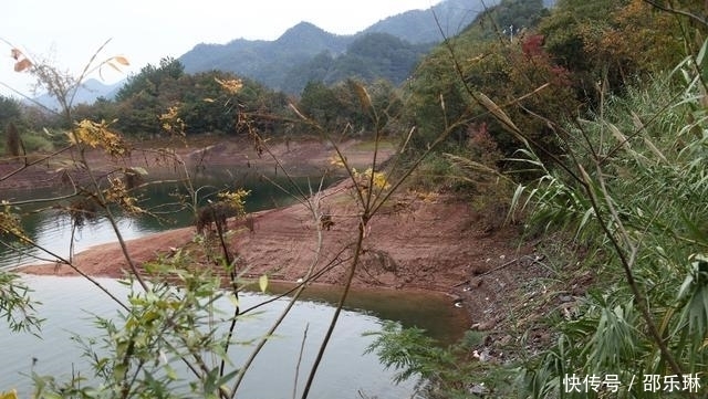  路遇|8名阿里员工路遇车祸救下4人 获奖10万 终身免费千岛湖吃鱼头