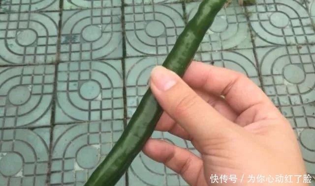  南方人|南方人说: 北方的食物, 是世界上最大的骗子! ?