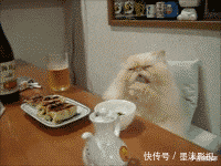 破车|“凭什么男人管20w的车叫破车，给女方20w的彩礼就喊天价？”