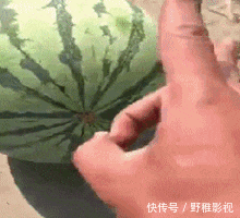 嫦娥|搞笑GIF:嫦娥姐姐是你吗?我是天蓬啊