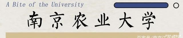高校|开学进行时!南京这8所高校美食,6块5喂饱你的青春……
