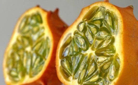 水果|5种能“吸”的水果吃过吗,我猜你只吃过椰子,图5是买了就上当