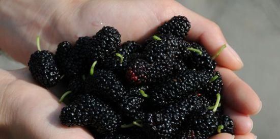 茶水|白酒最怕的解药,真不是茶水?家家户户都有,三分钟快速解酒