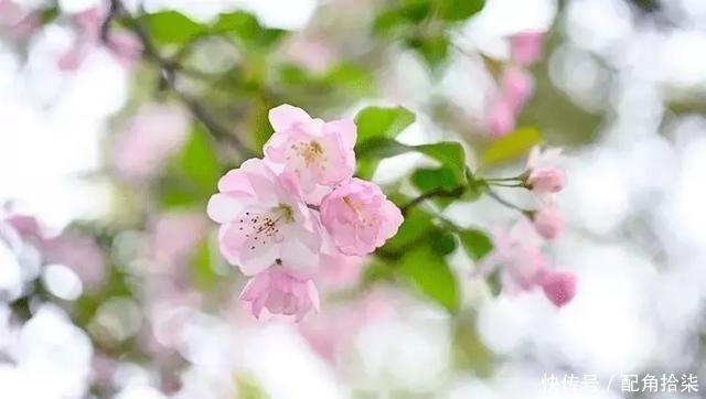 祖先|清明为什么要祭祖?这是我听过最好的答案