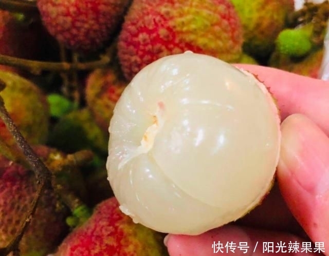 荔枝品种|买荔枝时,老果农教你5招,挑出好荔枝,肉厚多汁,一挑一个准!