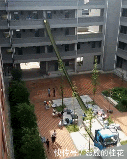 不服|搞笑GIF:我不服别的,就服这个演技