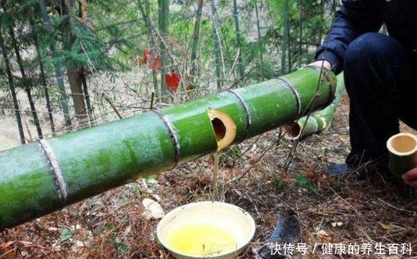 骗局|竹筒酒存在“骗局”那是你不懂制作过程，看完感觉智商不够用