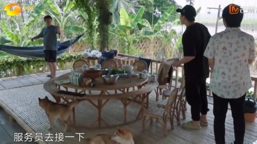 蘑菇|网红和艺人有何区别?薇娅来蘑菇屋,黄磊和何炅的接待已说明一切