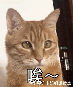 女生|一听结婚要闹洞房，95%的女生不嫁了