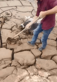 王者|搞笑GIF趣图:她曾经是个王者,后来