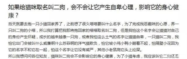 取名字|给猫狗取名字这么大的事,当然要敷衍了事啊!