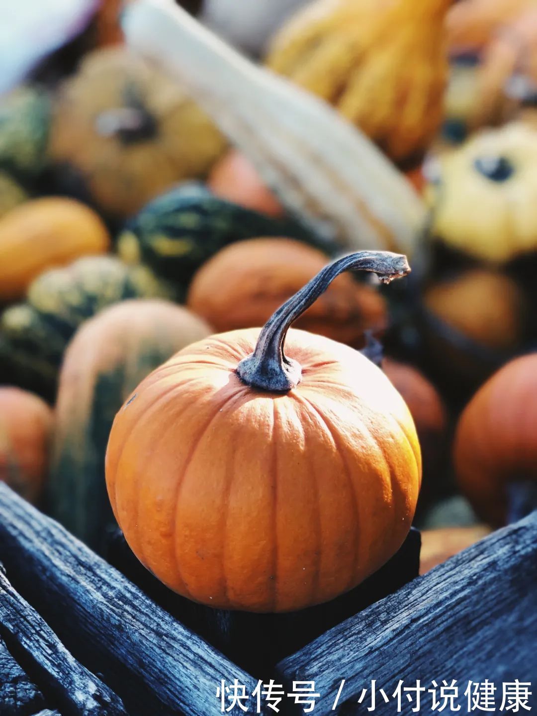  食物|误以为这些食物只是蔬菜，吃多了居然发胖