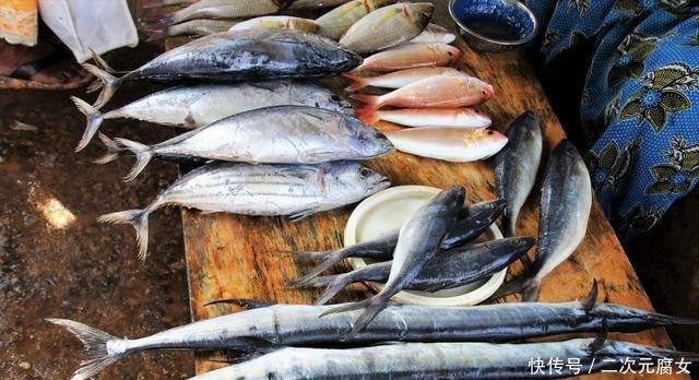 价格|以后去市场买这5种鱼,连鱼铺老板都会夸你是行家