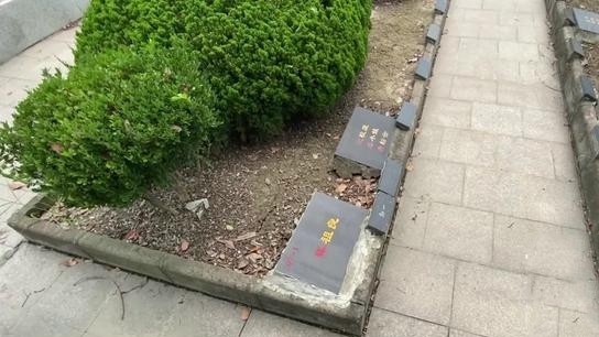  没了|老人敬老院去世9年 家属竟毫不知情 骨灰都没了丧葬费去向成谜