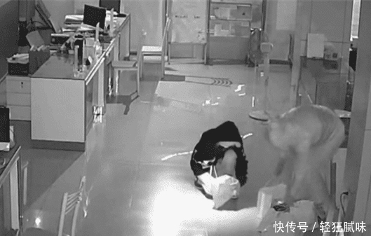 连夜|简单明了! 两女孩猜对保险柜密码连夜偷走50余部手机