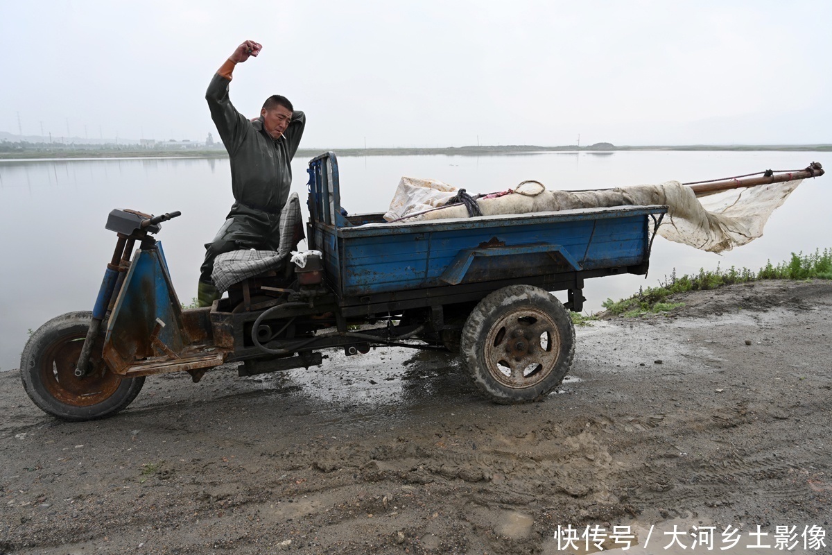  男子|男子每天清晨跳进盐池捞虫，拖20米纱网，一天干3小时挣200元