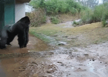  搞笑|搞笑GIF：护士姐姐你下手轻点，我怕疼