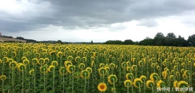  震撼|26张“活久见”的震撼图片，每一张都来之不易