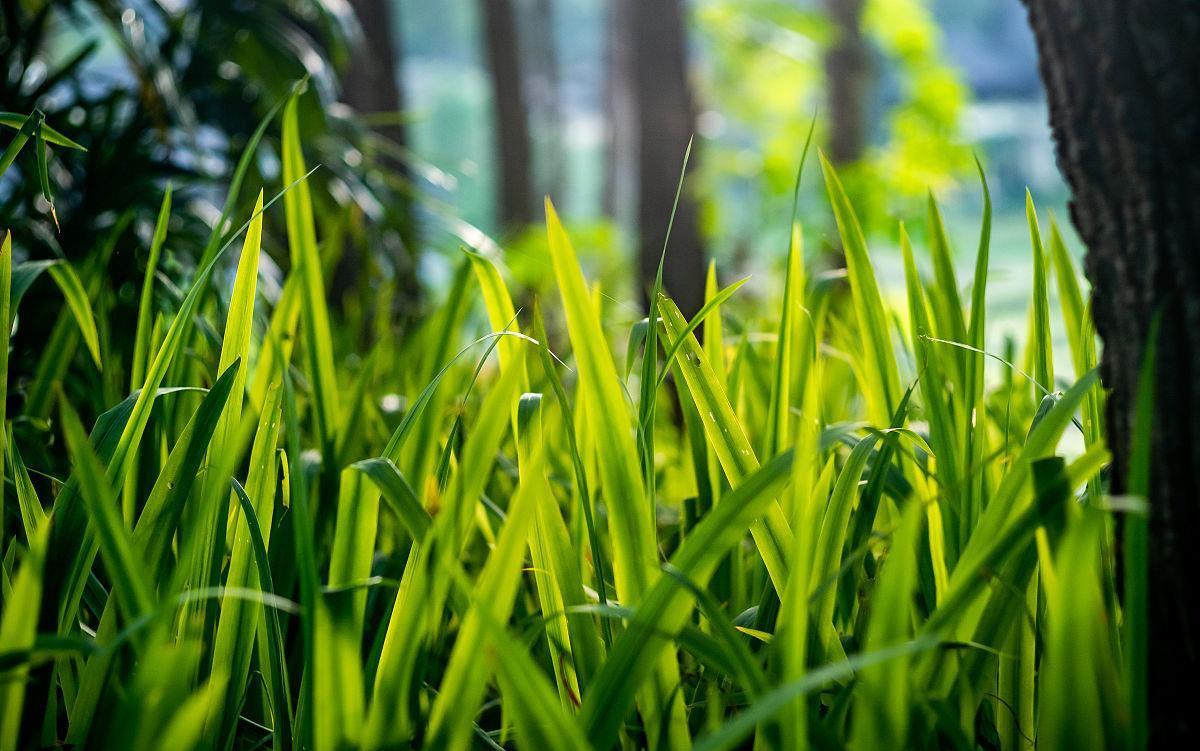 语录|情感语录:人生无常,且行且珍惜