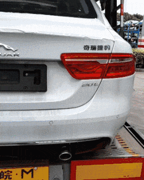 捐赠|搞笑GIF:哥们,很有钱嘛!捐赠我点吧!别玩了!