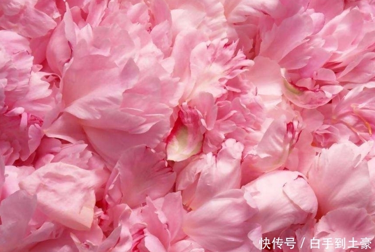 月天|算命的说，10月天降钞票雨，横财大奖接不停，3生肖车房不缺！