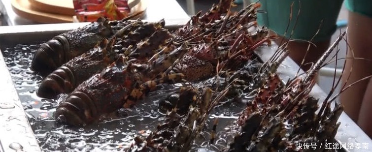 吃过|泰国街头最奢侈铁板大龙虾汉堡,一份一百元,当场吃完再买一份