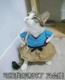 吃法|鸡蛋又有新吃法！简单又美味，一次做好吃一周