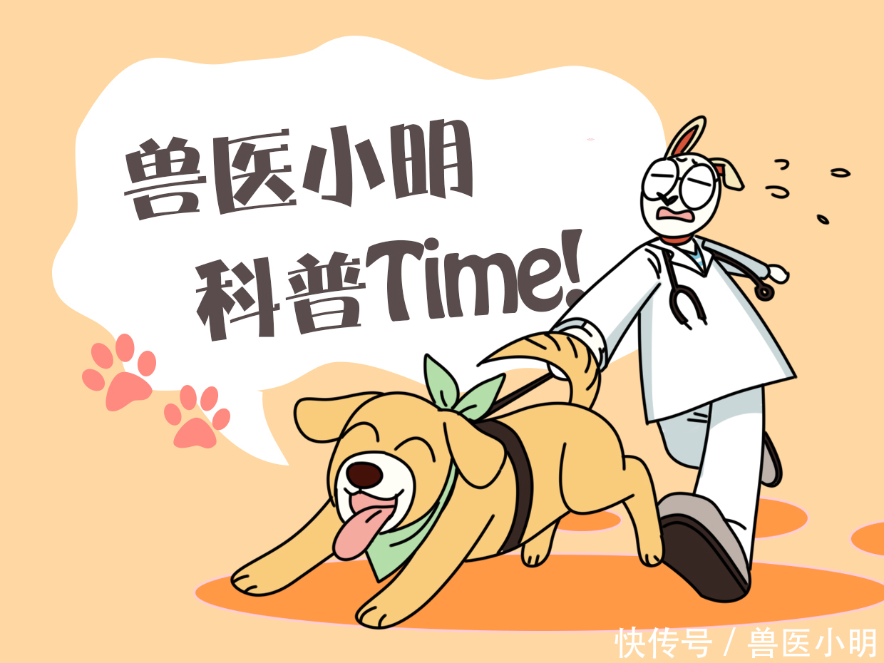 二哈|半夜听到二哈哼哼唧唧,开灯一看以为开了啥特效:睡意顿时没了