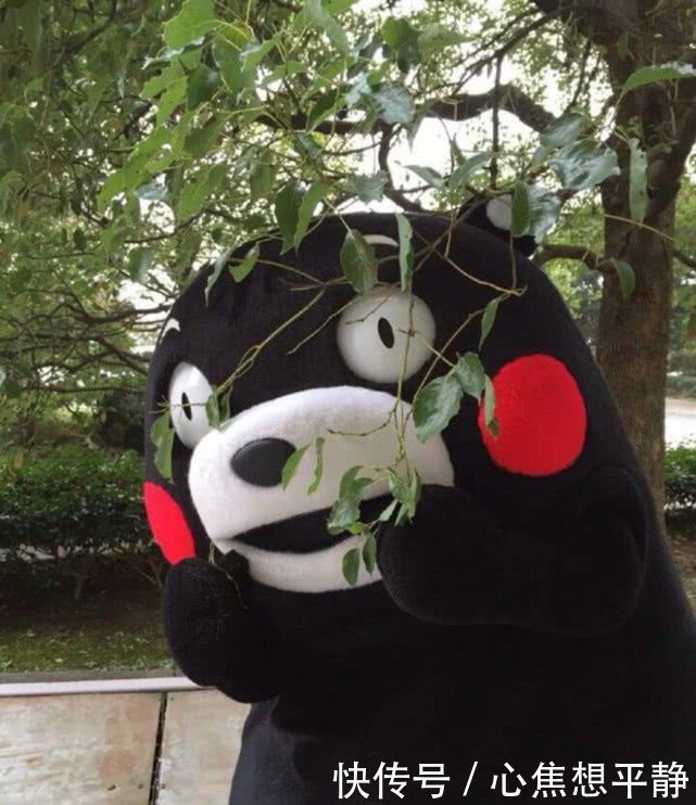 开心|开心一笑:如果你觉得两个人各自玩手机很没意思,不妨交换一下!