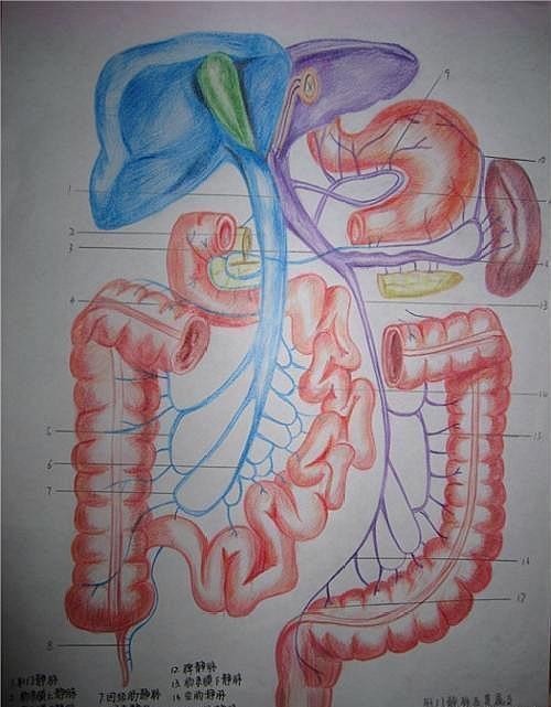 快速|快速解酒方法可靠么？