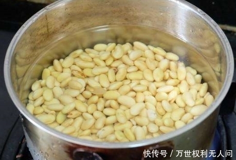 黄豆|早餐打豆浆,黄豆泡好不要直接打,教你1招,豆浆香浓更丝滑