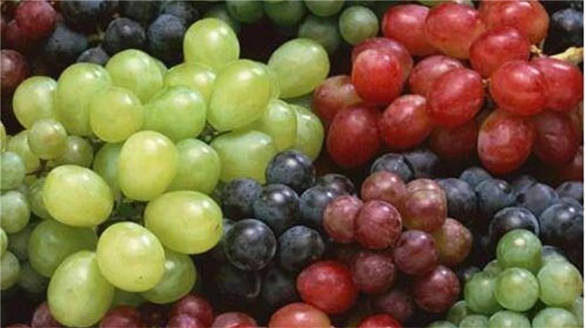 发酵|家庭自酿葡萄酒需谨防误区