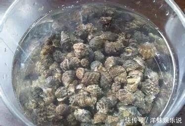  海鲜|海鲜大全, 你能认出多少