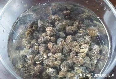 海鲜|海鲜大全, 你能认出多少