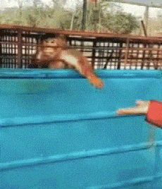 太狠|搞笑GIF:你们太狠了!整这么惨!还没举行仪式呢!