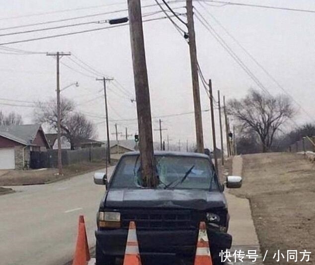 车主|超级搞笑: 本年度最为搞笑的车主大奖得主, 林大了啥鸟都有。