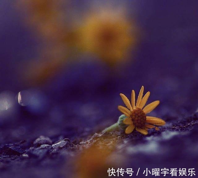则你将一无|朋友圈心灵鸡汤语录,耐人寻味