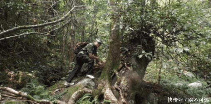  生肉|还记得吃虫子嚼生肉，号称“食物链顶端”的贝爷吗？现在怎么样了