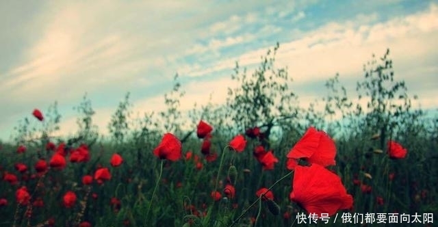 林徽因|爱上不该爱的人,一定要及时止损