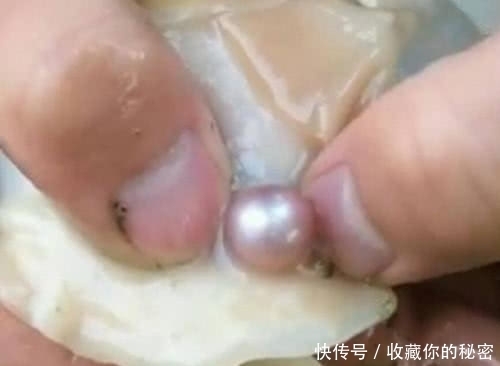 吐出来|女子喝海鲜汤时差点卡到喉咙，吐出来后一看，顿时饭都顾不上吃了