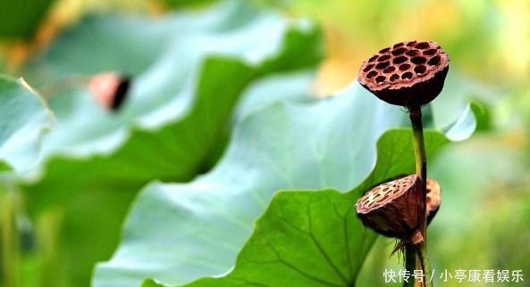 诚信|人到中年,遇到这三种人,记得深交