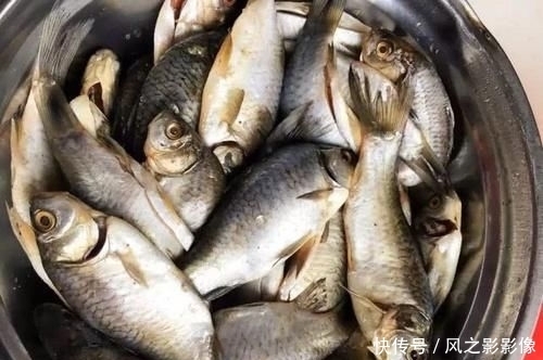 破皮|炸鱼的第一步先倒油?大错特错!教你正确做法,金黄酥脆还不破皮