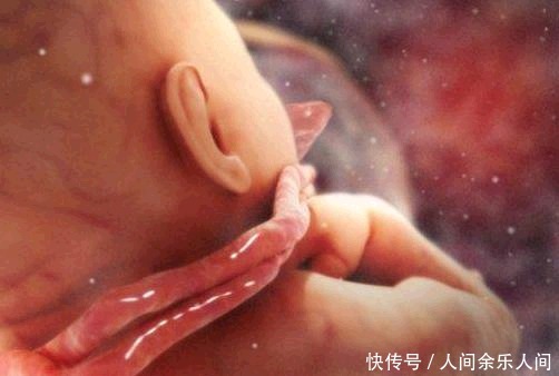 胎儿|因孕妈的无知和懒惰,9个月的胎儿就这样没了!脐带绕颈该怎么办