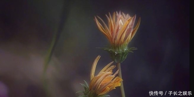  生命中|人生中会遇到的三个贵人，别轻易就错过了