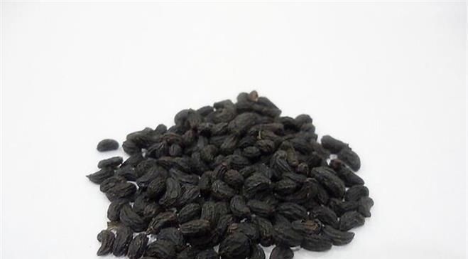 泡水|女贞子泡水喝可以治疗什么?疗效到底怎么样?今天来告诉各位答案