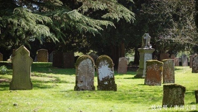 残忍|10个残忍的事迹