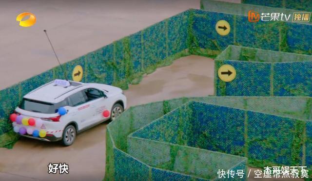 新手|《新手驾到》教练迷宫比赛居然比学员简单,规则只为学员而定