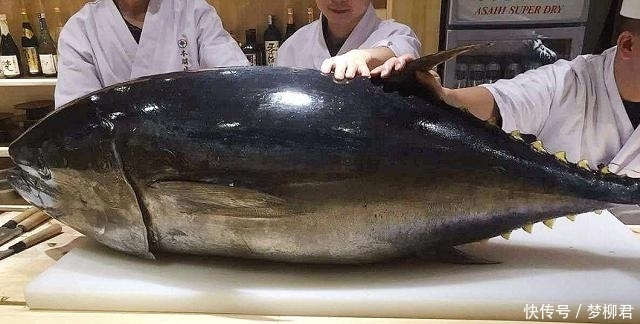 中国|世界最贵的4种海鲜,中国有1种上榜,加州鲍鱼大得让人心生恐惧