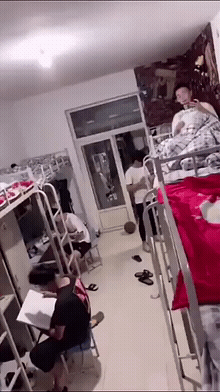 搞笑|搞笑GIF:直到今天我才知道,原来西瓜是长在土里面的