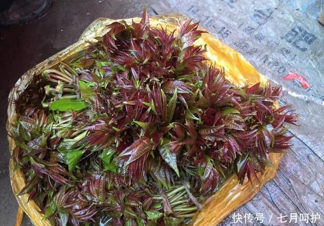  养颜|想长寿先排毒，三种食物要多吃，排毒养颜，早吃早好